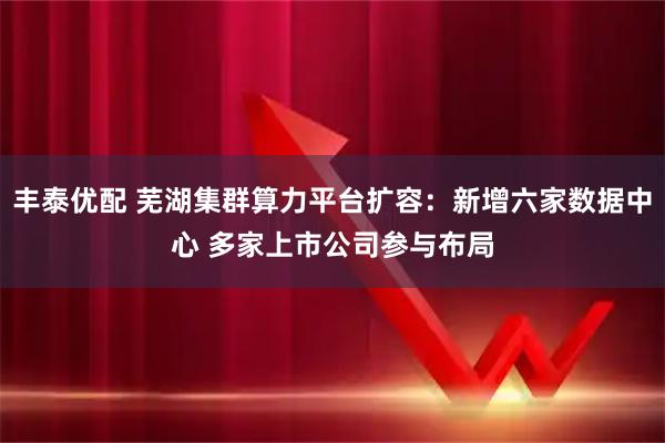 丰泰优配 芜湖集群算力平台扩容:新增六家数据中心 多家上市公司参与布局
