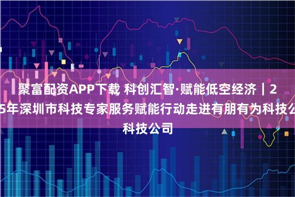 聚富配资APP下载 科创汇智·赋能低空经济｜2025年深圳市科技专家服务赋能行动走进有朋有为科技公司